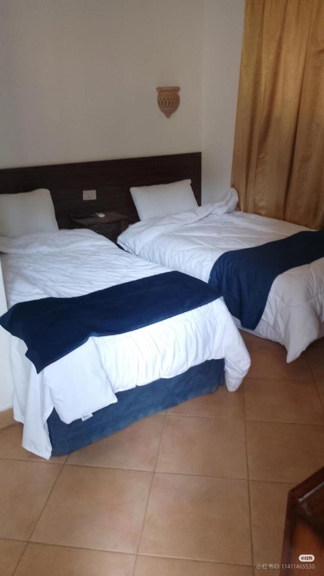 Sofia Guest House ลักซอร์ ภายนอก รูปภาพ