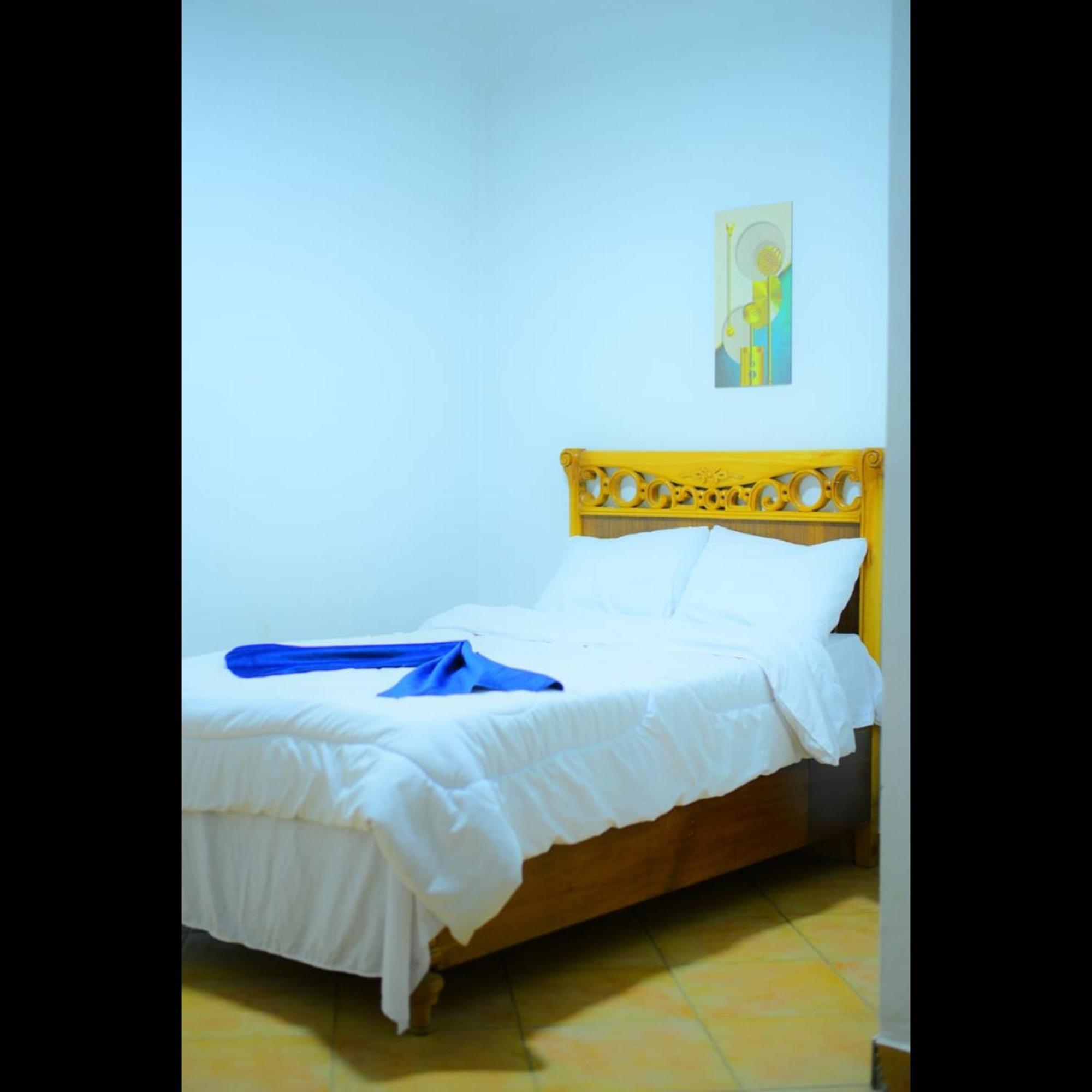 Sofia Guest House ลักซอร์ ภายนอก รูปภาพ